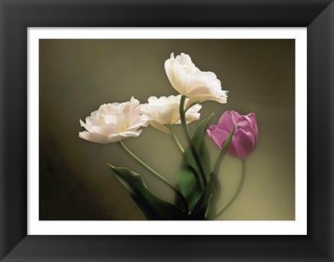 Framed Tulips Print