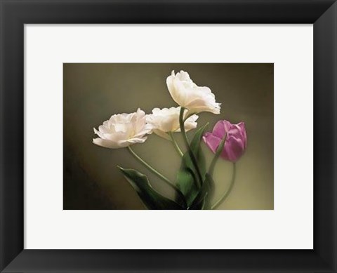 Framed Tulips Print