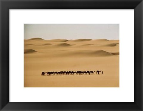 Framed Camel Train, Mauritania Print