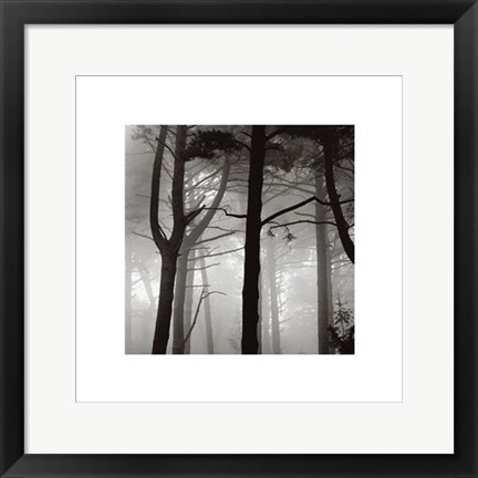 Framed Forest I Print