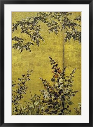 Framed Mimosa Trees And Flowers Print