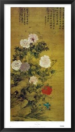 Framed Chinese Peonies (Ch&#39;ing Dynasty 17-18Th Print