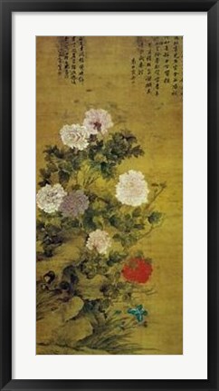 Framed Chinese Peonies (Ch&#39;ing Dynasty 17-18Th Print