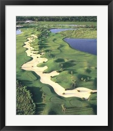 Framed Challenge - Golf II Print