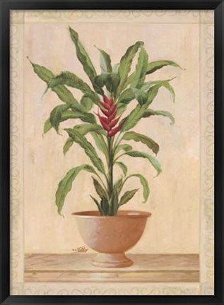 Framed Potted Palm II Print