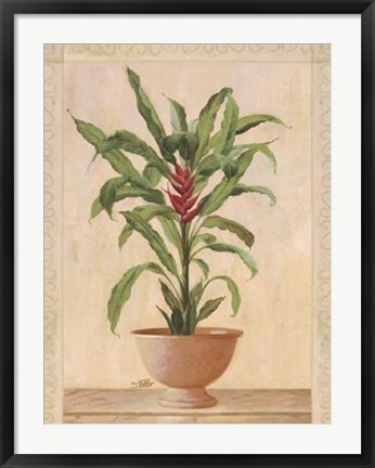 Framed Potted Palm II Print