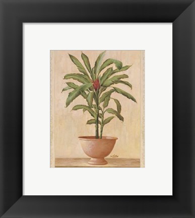 Framed Potted Palm I Print