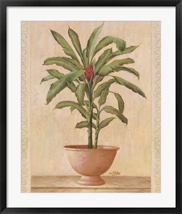 Framed Potted Palm I Print