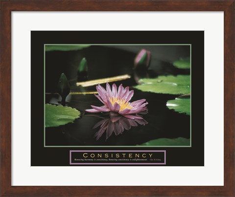 Framed Consistency - Pond Flower Print