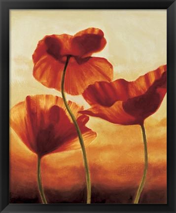 Framed Poppies In Sunlight II Print