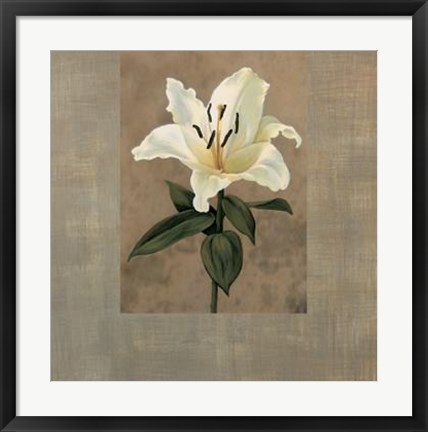 Framed Lily Print