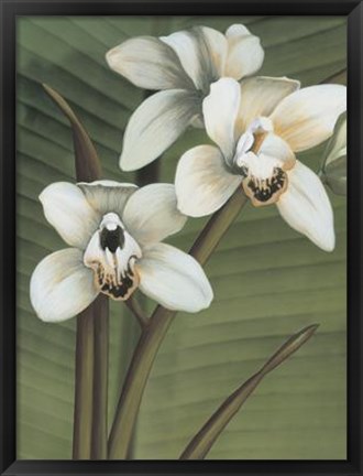 Framed Orchid with Palm I Print