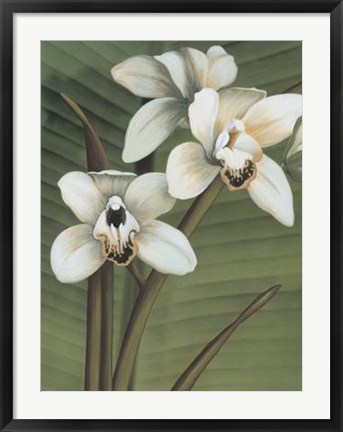 Framed Orchid with Palm I Print