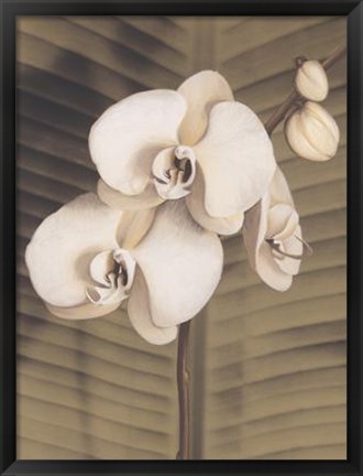 Framed Orchid with Palm II Print