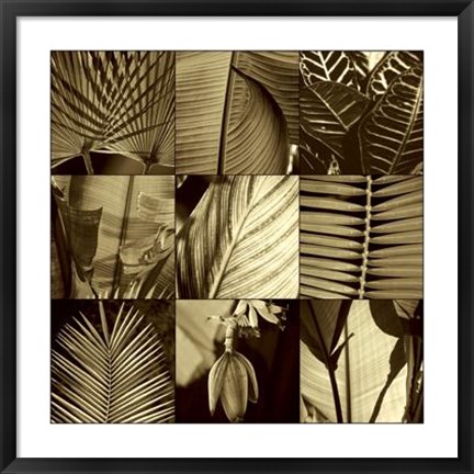 Framed Tropical Leaves I Print