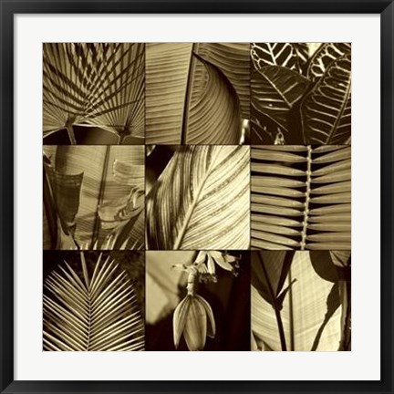 Framed Tropical Leaves I Print