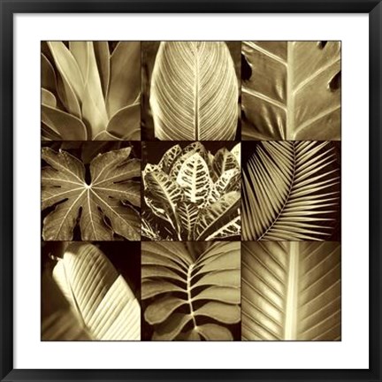 Framed Tropical Leaves II Print