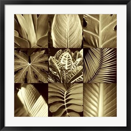 Framed Tropical Leaves II Print