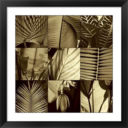 Framed Tropical Leaves I Print