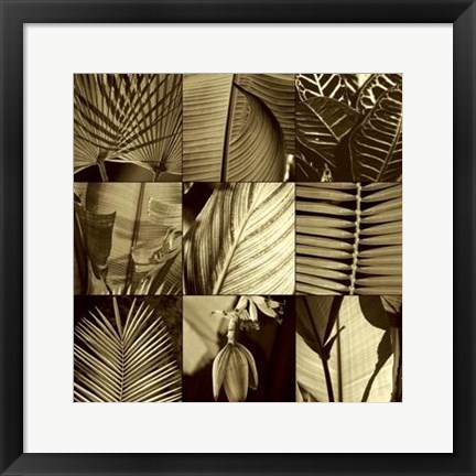 Framed Tropical Leaves I Print