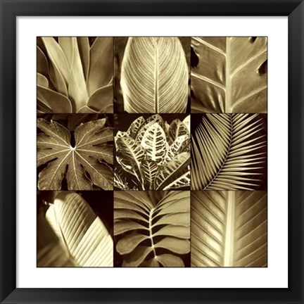 Framed Tropical Leaves II Print