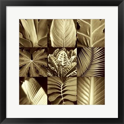 Framed Tropical Leaves II Print