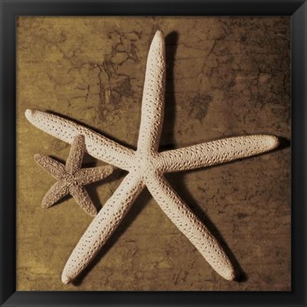 Framed Starfish Print