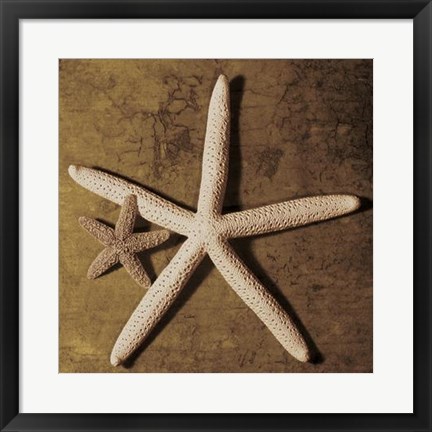 Framed Starfish Print