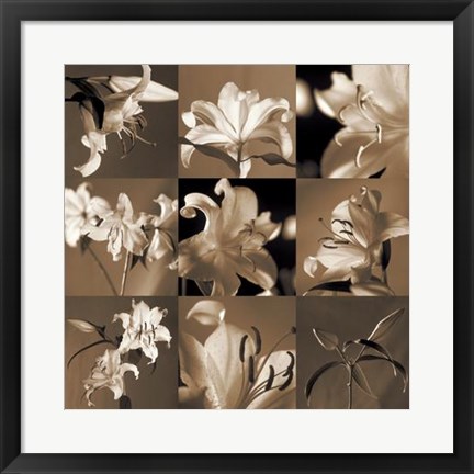 Framed Lily Garden Print