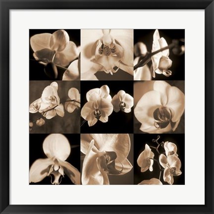 Framed Orchid Bouquet Print