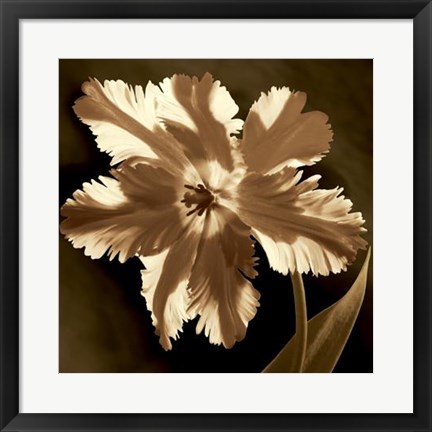 Framed Parrot Tulip I Print