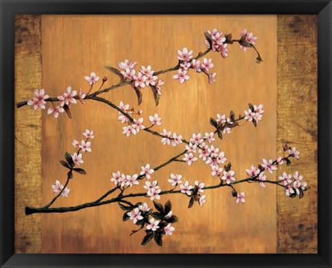 Framed Cherry Blossoms Print