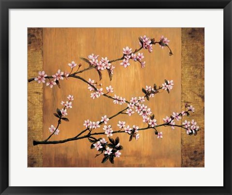 Framed Cherry Blossoms Print