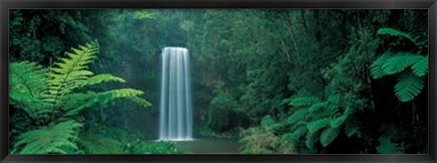 Framed Millaa Millaa Falls, Queensland, Austral Print