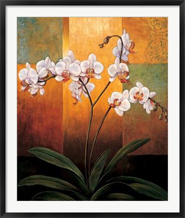 Framed Orchids Print