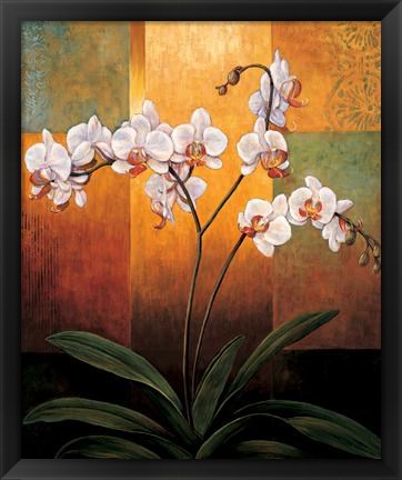 Framed Orchids Print