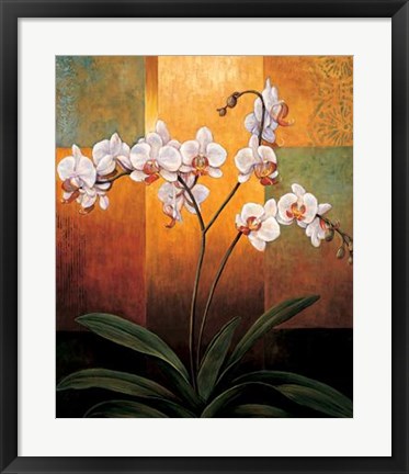 Framed Orchids Print