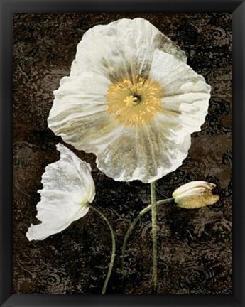 Framed Poppies II Print