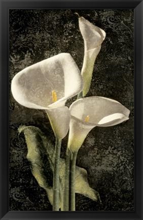 Framed Callas I Print