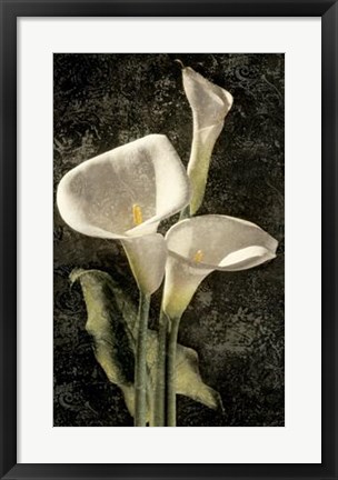 Framed Callas I Print