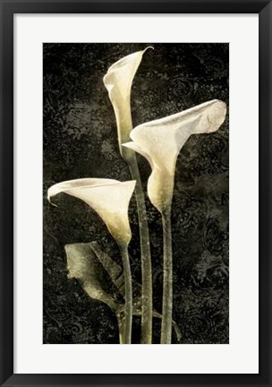 Framed Callas II Print