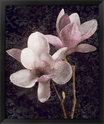 Framed Pink Magnolias I Print