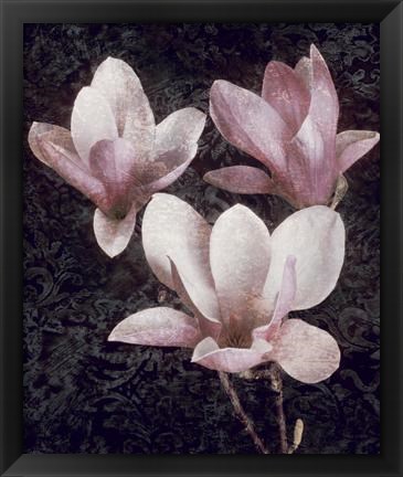 Framed Pink Magnolias II Print