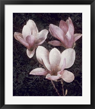 Framed Pink Magnolias II Print