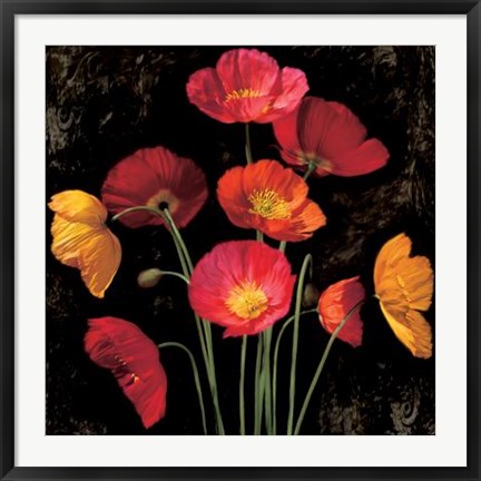 Framed Poppy Bouquet I Print