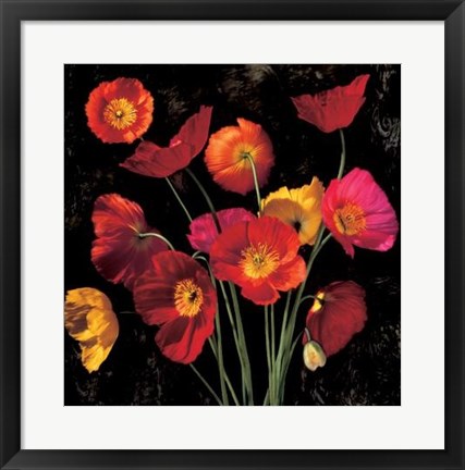 Framed Poppy Bouquet II Print