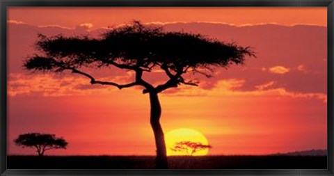 Framed Masai Mara Plains, Kenya Print