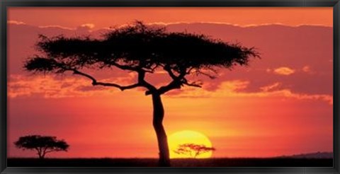 Framed Masai Mara Plains, Kenya Print