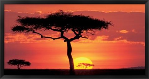 Framed Masai Mara Plains, Kenya Print