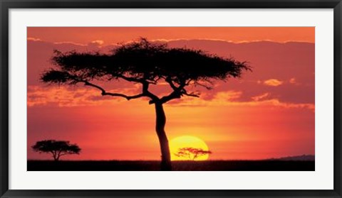 Framed Masai Mara Plains, Kenya Print